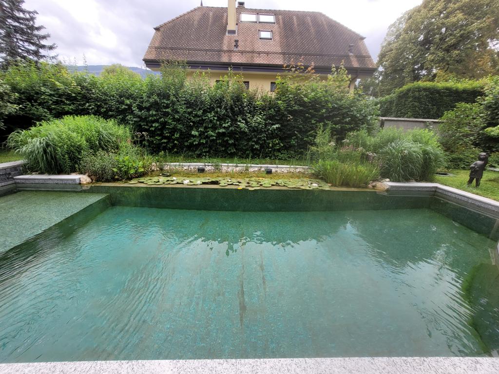Naturpool mit Seerosen
